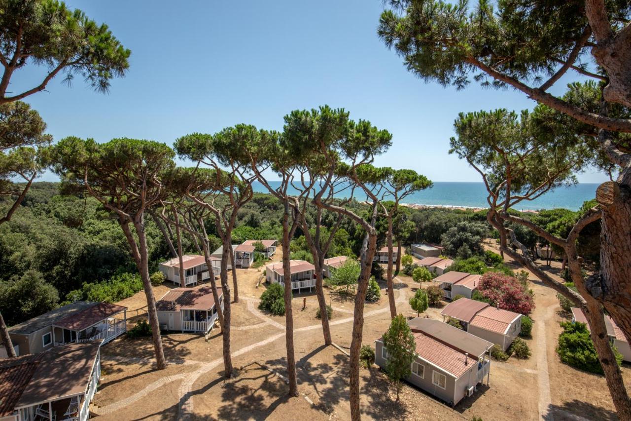Parco Della Gallinara Лидо дей Пини Екстериор снимка
